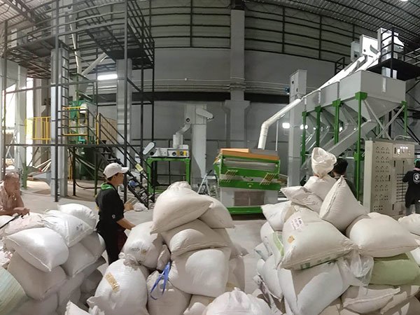 1569376413697114.jpg 3a.jpg